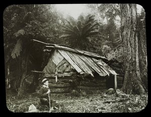 The Hatters Hut